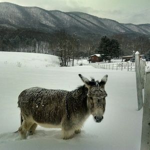 Meet your Posher, Becky